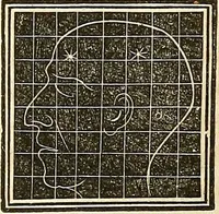 An illustration from A system of phrenology (1839)
