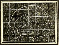 An illustration from A system of phrenology (1839)