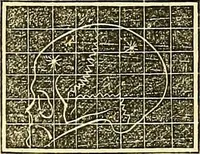 An illustration from A system of phrenology (1839)