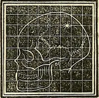 An illustration from A system of phrenology (1839)