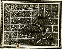 An illustration from A system of phrenology (1839)