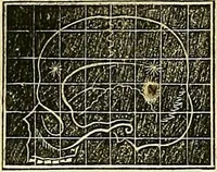 An illustration from A system of phrenology (1839)