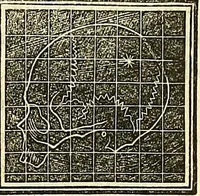 An illustration from A system of phrenology (1839)