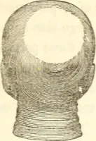 An illustration from A system of phrenology (1839)