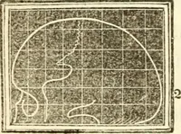 An illustration from A system of phrenology (1839)