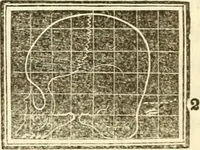 An illustration from A system of phrenology (1839)