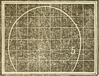 An illustration from A system of phrenology (1839)