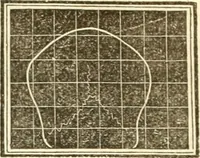 An illustration from A system of phrenology (1839)