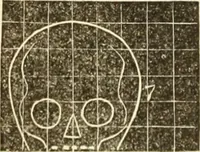 An illustration from A system of phrenology (1839)