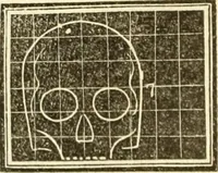 An illustration from A system of phrenology (1839)