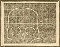An illustration from A system of phrenology (1839)