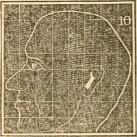 An illustration from A system of phrenology (1839)