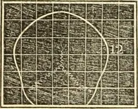 An illustration from A system of phrenology (1839)