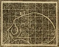 An illustration from A system of phrenology (1839)