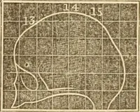 An illustration from A system of phrenology (1839)