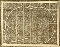 An illustration from A system of phrenology (1839)
