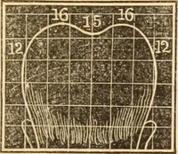 An illustration from A system of phrenology (1839)