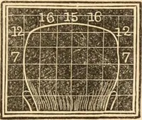 An illustration from A system of phrenology (1839)