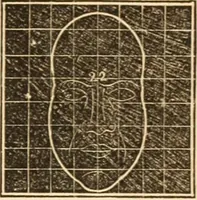 An illustration from A system of phrenology (1839)
