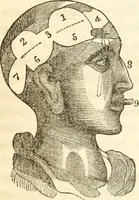 An illustration from A system of phrenology (1839)