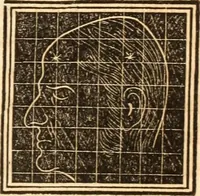 An illustration from A system of phrenology (1839)