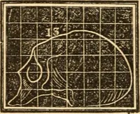 An illustration from A system of phrenology (1839)