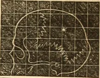 An illustration from A system of phrenology (1839)