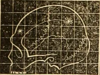 An illustration from A system of phrenology (1839)