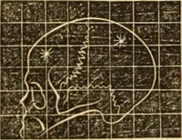 An illustration from A system of phrenology (1839)