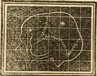 An illustration from A system of phrenology (1839)