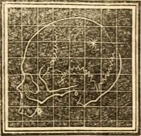 An illustration from A system of phrenology (1839)