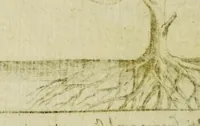 An illustration from Tabacologia: hoc est tabaci, seu Nicotianae descriptio medico-chirurgico-pharmaceutica vel ejus praeparatio et usus in omnibus fermè corporis humani incom[m]odis. (1626)