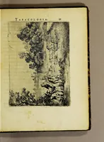 An illustration from Tabacologia: hoc est tabaci, seu Nicotianae descriptio medico-chirurgico-pharmaceutica vel ejus praeparatio et usus in omnibus fermè corporis humani incom[m]odis. (1626)