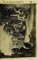 An illustration from Tabacologia: hoc est tabaci, seu Nicotianae descriptio medico-chirurgico-pharmaceutica vel ejus praeparatio et usus in omnibus fermè corporis humani incom[m]odis. (1626)