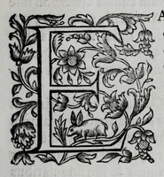 Picture 22 of 38 from Tabellae selectae ac explicatae (1691), leaf 103