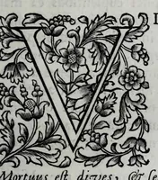 Picture 28 of 38 from Tabellae selectae ac explicatae (1691), leaf 123