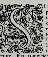 Picture 31 of 38 from Tabellae selectae ac explicatae (1691), leaf 137