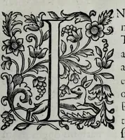 Picture 37 of 38 from Tabellae selectae ac explicatae (1691), leaf 175