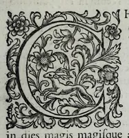 Picture 21 of 38 from Tabellae selectae ac explicatae (1691), leaf 99