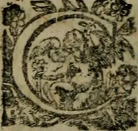 Picture 9 of 9 from Tableau des passions humaines, de leurs causes, et leurs effets (1632), leaf 641