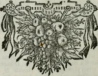 Picture 12 of 169 from Tableaux du temple des muses : tirez du cabinet de feu Mr. Favereau, conseiller du roy en sa Cour des Aydes, & gravez en tailles-douces par les meilleurs maistres de son temps, pour representer les vertus & les vices, sur les plus illustres fables de l'antiquité : avec les descriptions, remarques & annotations (1676), leaf 35
