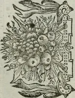An illustration from Tableaux du temple des muses : tirez du cabinet de feu Mr. Favereau, conseiller du roy en sa Cour des Aydes, & gravez en tailles-douces par les meilleurs maistres de son temps, pour representer les vertus & les vices, sur les plus illustres fables de l'antiquité : avec les descriptions, remarques & annotations (1676)