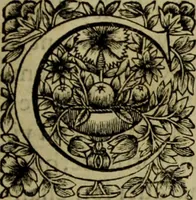 An illustration from Tableaux du temple des muses : tirez du cabinet de feu Mr. Favereau, conseiller du roy en sa cour des Aydes & grauez en tailles-douces par les meilleurs maistr s de son temps pour representer les vertus & les vices sur les plus illustres fables de l'antiquité (1655)