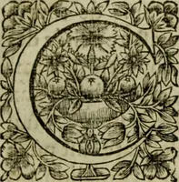 An illustration from Tableaux du temple des muses : tirez du cabinet de feu Mr. Favereau, conseiller du roy en sa cour des Aydes & grauez en tailles-douces par les meilleurs maistr s de son temps pour representer les vertus & les vices sur les plus illustres fables de l'antiquité (1655)