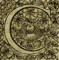 An illustration from Tableaux du temple des muses : tirez du cabinet de feu Mr. Favereau, conseiller du roy en sa cour des Aydes & grauez en tailles-douces par les meilleurs maistr s de son temps pour representer les vertus & les vices sur les plus illustres fables de l'antiquité (1655)