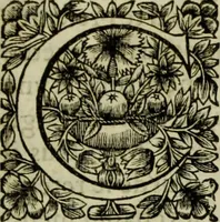 An illustration from Tableaux du temple des muses : tirez du cabinet de feu Mr. Favereau, conseiller du roy en sa cour des Aydes & grauez en tailles-douces par les meilleurs maistr s de son temps pour representer les vertus & les vices sur les plus illustres fables de l'antiquité (1655)