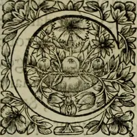 An illustration from Tableaux du temple des muses : tirez du cabinet de feu Mr. Favereau, conseiller du roy en sa cour des Aydes & grauez en tailles-douces par les meilleurs maistr s de son temps pour representer les vertus & les vices sur les plus illustres fables de l'antiquité (1655)