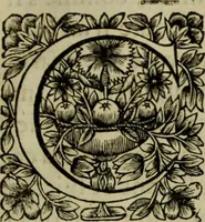 An illustration from Tableaux du temple des muses : tirez du cabinet de feu Mr. Favereau, conseiller du roy en sa cour des Aydes & grauez en tailles-douces par les meilleurs maistr s de son temps pour representer les vertus & les vices sur les plus illustres fables de l'antiquité (1655)