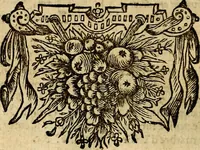 Picture 57 of 169 from Tableaux du temple des muses : tirez du cabinet de feu mr. Favereau...gravez en tailles-douces par les meilleurs maistres de son temps, pour representer les vertus & les vices, sur les plus illustres fables de l'antiquité (1676), leaf 205