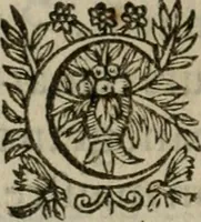 Picture 62 of 74 from Tableaux sacrez des figures mystiques du tres-auguste sacrifice et sacrement de l'Eucharistie : dediez a la tres chrestienne royne de France et de Nauarre Marie de Medicis (1601), leaf 409